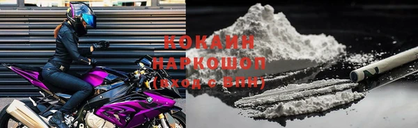 прущий лед Алзамай