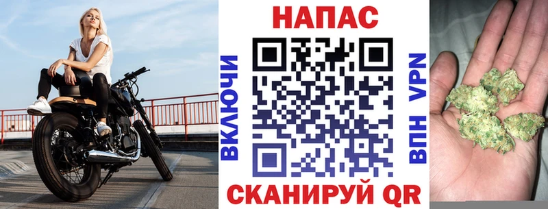 Бошки марихуана семена  где купить   Ейск 